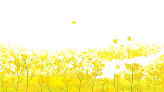 黄色手绘油菜元素GIF动态图油菜花元素
